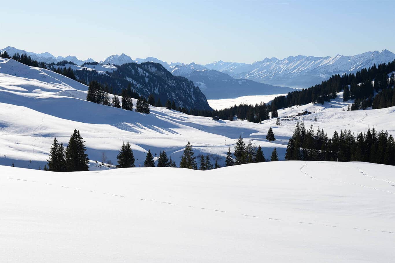 Lombachalp-mit-Thunersee